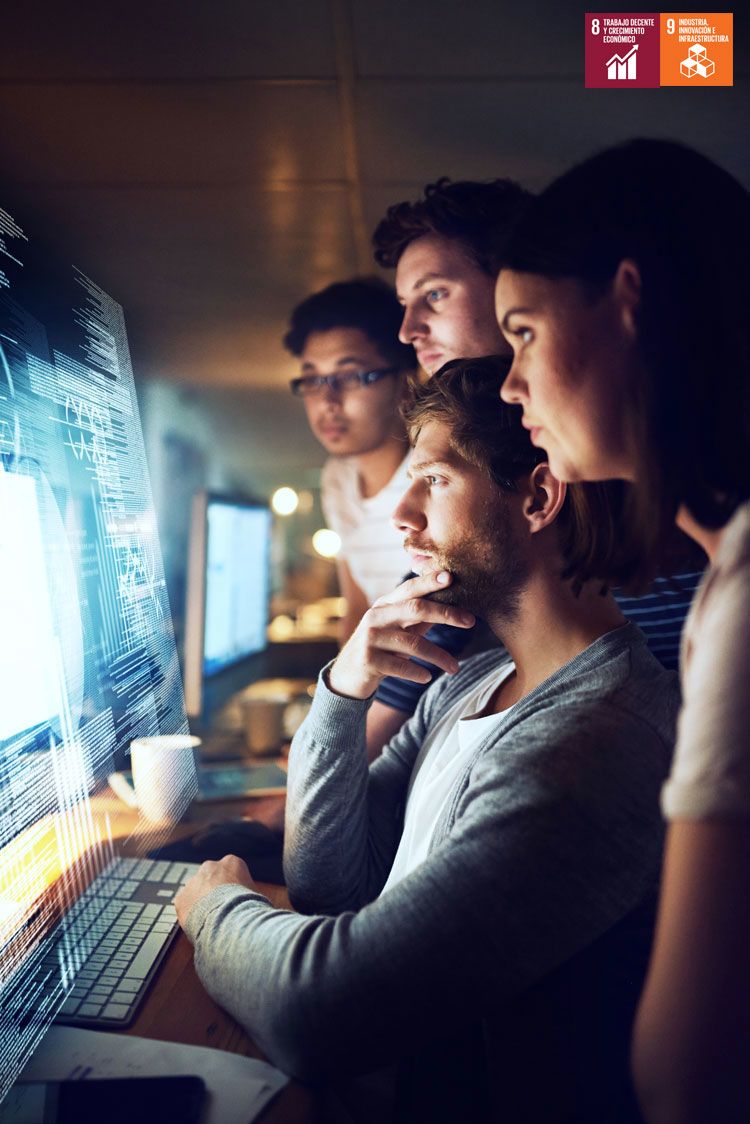 Un grupo de programadores trabaja en la elaboración de códigos informáticos