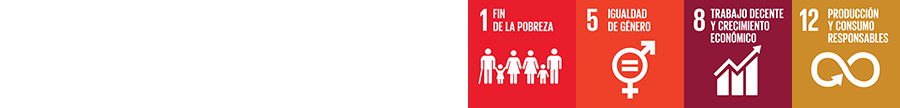 Iconos 1, 5, 8 y 12 de los ODS