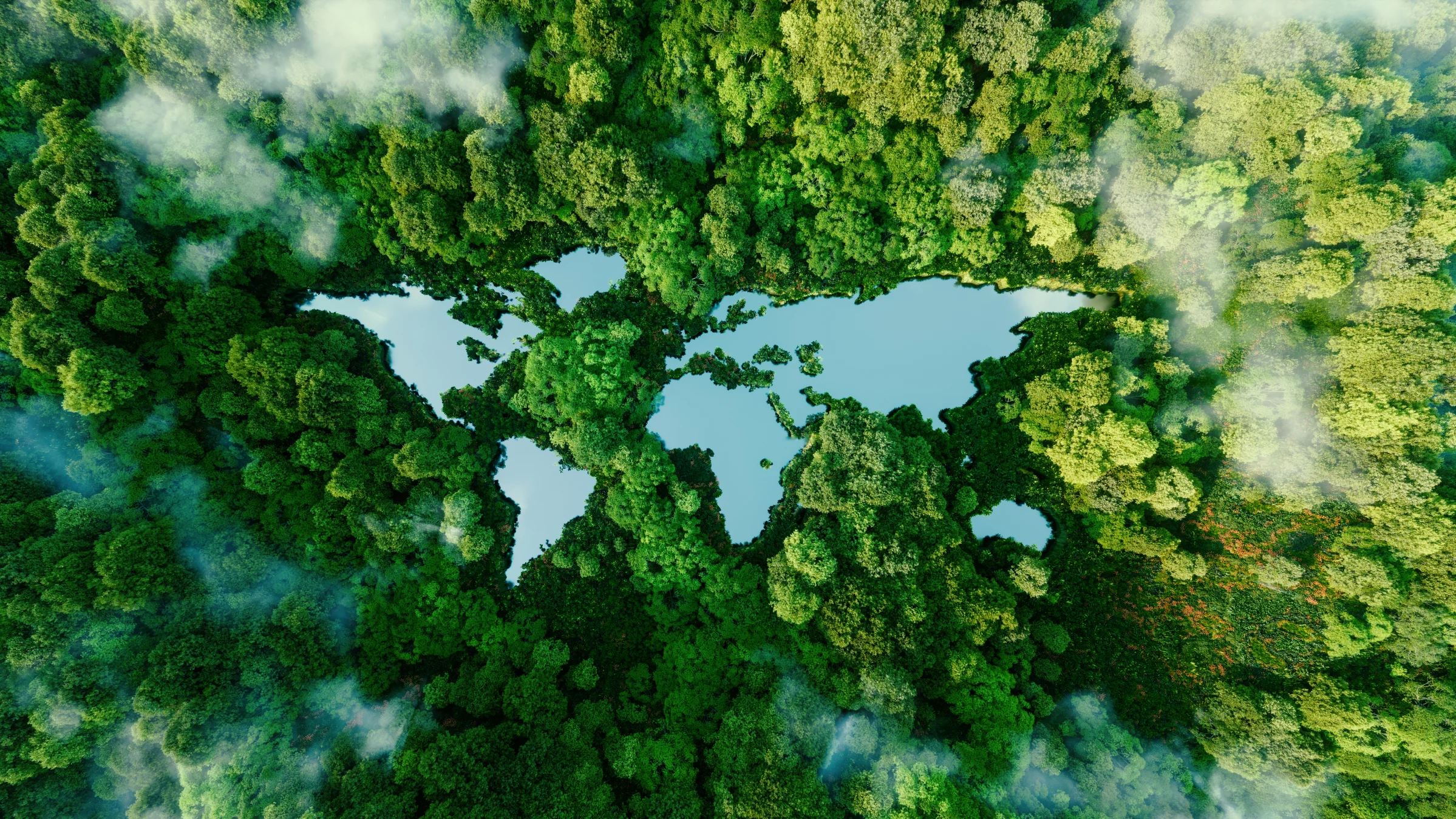 Trees forming the world